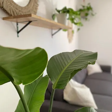 Jungle Mit Balkon I Parkplatz I Zentrum 아파트